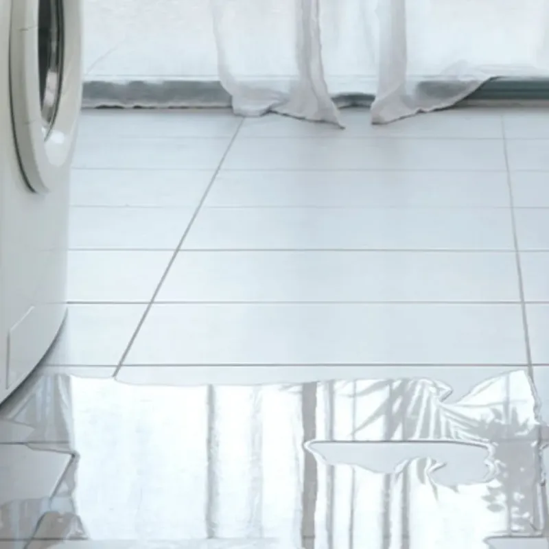Appliance Leak Cleanup in Harney County, OR