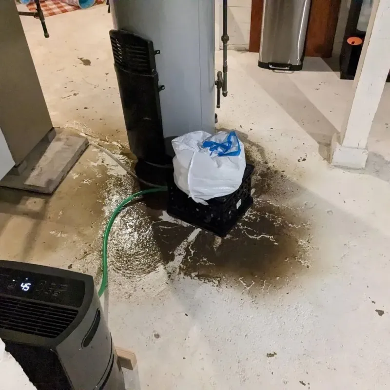 Sewage Backup Cleanup Service in Harney County, OR